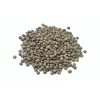 lentilles-verte 808392033