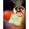 vendor98/romarin mandarine wix