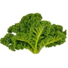 chou_kale_667238638