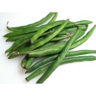 haricots_verts