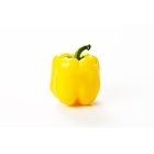 poivron_jaune_b