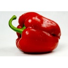 poivron_rouge