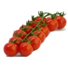 tomate_cerise