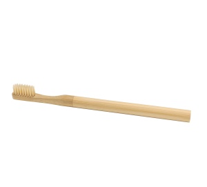 brosse  dent adulte