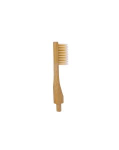 tte brosse a dent adulte