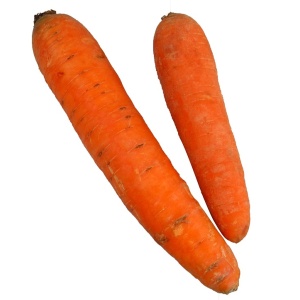 carrottes