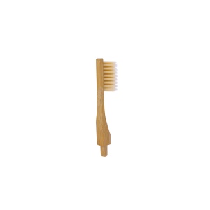 tte_brosse_a_dent_adulte