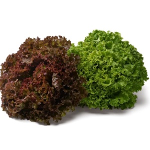 batavia verte rouge