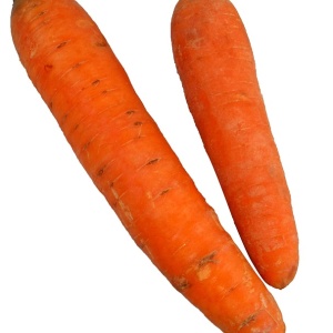 carrottes