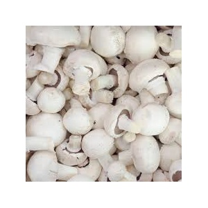 champignon blc