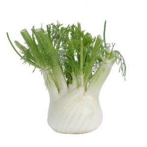 fenouil