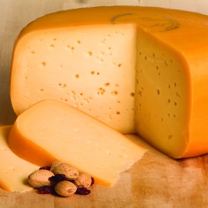 gouda