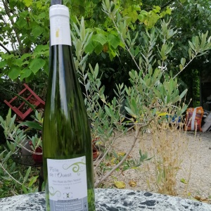 gros plant domaine des cognettes