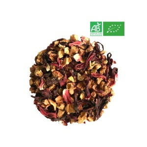 infusion-fruitee-nature-bio-1kg