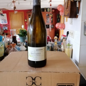 muscadet svres