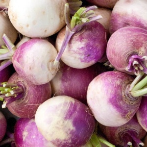 navet-violet-bio