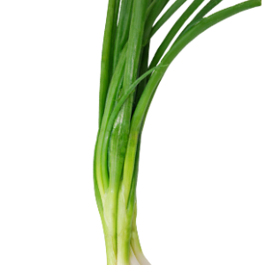 oignon-fins