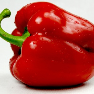 poivron rouge