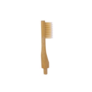 tte brosse a dent adulte